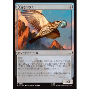 画像: 大きなツグミ/Old Thrush