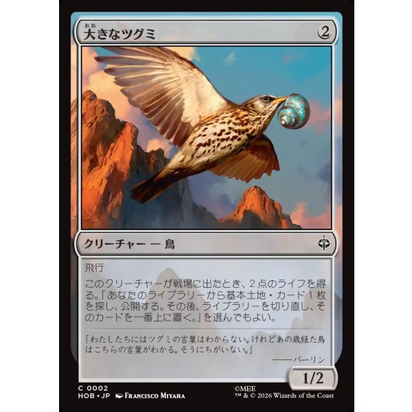 画像1: 大きなツグミ/Old Thrush (1)