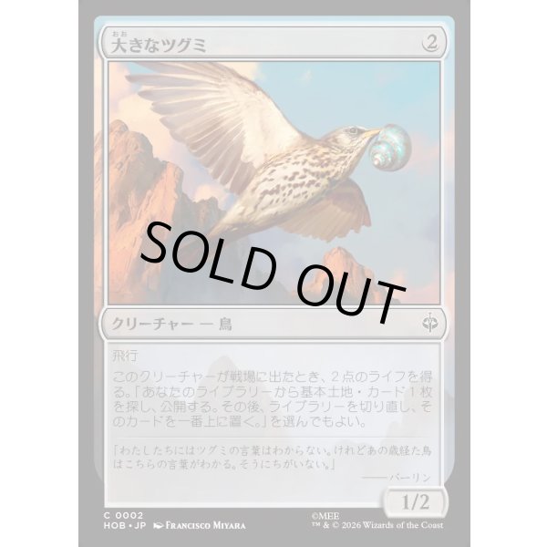 画像1: 大きなツグミ/Old Thrush (1)