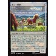 画像1: ポニーの群れ/Troop of Ponies (1)