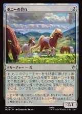 画像: ポニーの群れ/Troop of Ponies