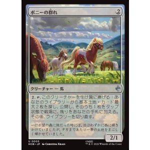 画像: ポニーの群れ/Troop of Ponies