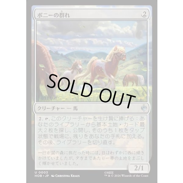 画像1: ポニーの群れ/Troop of Ponies (1)