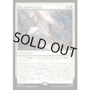 画像: 鷲たちがやってくる!/The Eagles Are Coming!