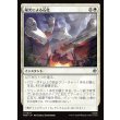 画像1: 陽光による石化/Stone by Sunlight (1)