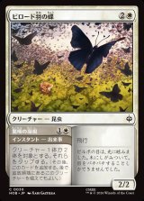 画像: ビロード羽の蝶/Velvetwing Butterflies