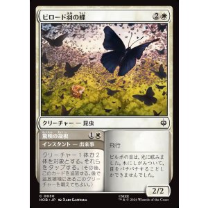 画像: ビロード羽の蝶/Velvetwing Butterflies