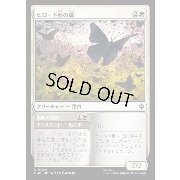 画像1: ビロード羽の蝶/Velvetwing Butterflies (1)