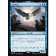 画像1: ワシの王/The Lord of the Eagles (1)