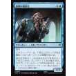 画像1: 統領の相談役/Master's Councillors (1)