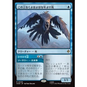 画像: この上なくよぼよぼな年より鳥/Most Decrepit Old Bird