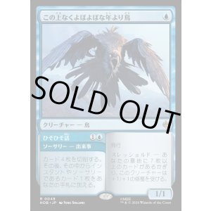 画像: この上なくよぼよぼな年より鳥/Most Decrepit Old Bird
