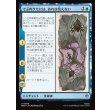 画像1: でぶのクモには、おれは見えない/Old Fat Spider Can't See Me (1)