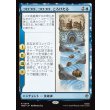 画像1: コロコロ、コロコロ、ころげたる/Roll-Roll-Roll-Roll (1)