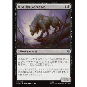 画像: 荒らし場をうろつくもの/Desolation Prowler