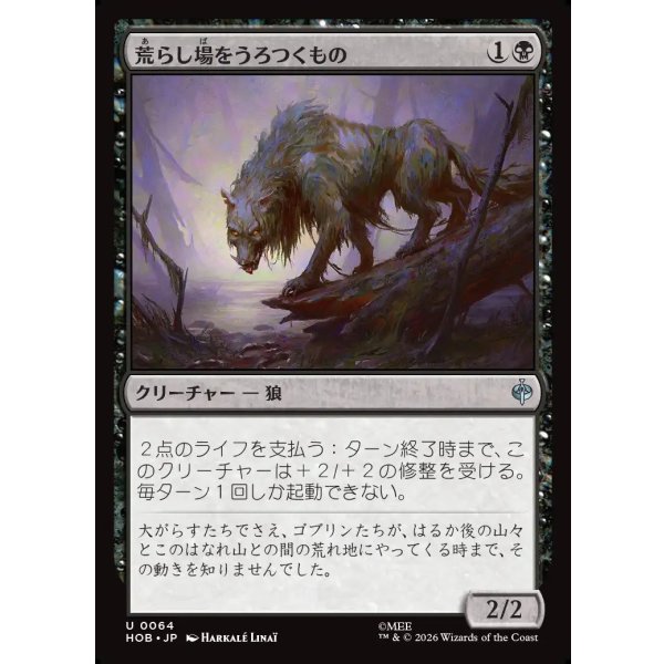 画像1: 荒らし場をうろつくもの/Desolation Prowler (1)