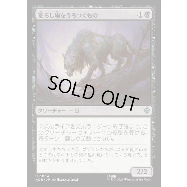 画像1: 荒らし場をうろつくもの/Desolation Prowler (1)