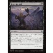 画像1: 集まり来たる闇/Gathering of Darkness (1)