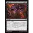 画像1: 歯ぎしり/Gnashing of Teeth (1)