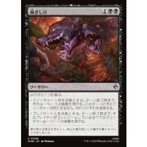 画像: 歯ぎしり/Gnashing of Teeth