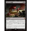 画像1: 踏み込んだ情報/Inside Information (1)