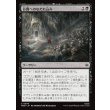 画像1: 谷間へのなだれ込み/Rage into the Valley (1)