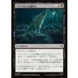 画像1: うやうやしき遠吠え/Reverent Howl (1)