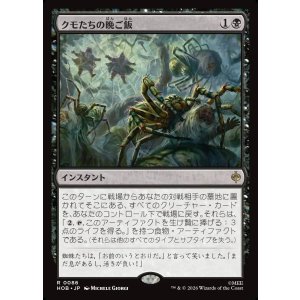 画像: クモたちの晩ご飯/Supper for Spiders