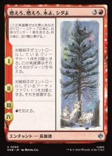画像: 燃えろ、燃えろ、木よ、シダよ/Burn, Burn, Tree and Fern