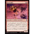 画像1: 雪の丘の狩人/Snowslope Hunter (1)