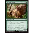 画像1: 宝石で飾った魔狼/Bejeweled Warg (1)