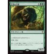 画像1: 巨怪の大熊/Gigantic Big Bear (1)