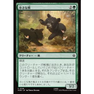 画像: 小さな熊/Little Bear