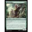 画像1: 闇の森の道拓き/Mirkwood Pathmaker (1)