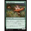 画像1: やっかいな仔ウサギ/Nasty Little Rabbit (1)