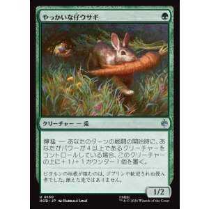 画像: やっかいな仔ウサギ/Nasty Little Rabbit