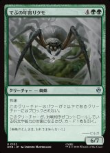 画像: でぶの年寄りクモ/Old Fat Spider