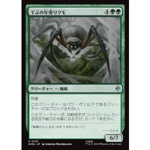 画像: でぶの年寄りクモ/Old Fat Spider