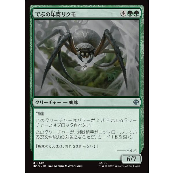 画像1: でぶの年寄りクモ/Old Fat Spider (1)