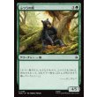 画像1: ふつうの熊/Ordinary Bear (1)