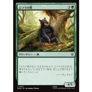 画像: ふつうの熊/Ordinary Bear