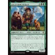 画像1: ロスゴベルのラダガスト/Radagast of Rhosgobel (1)