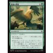 画像1: 魔狼の戦術/Warg Tactics (1)