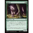 画像1: 魔狼の仔/Wargling (1)