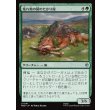 画像1: 荒れ地の国のたかり屋/Wilderland Scrounger (1)