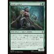 画像1: ウッド・エルフ/Wood Elves (1)