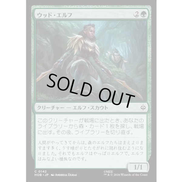 画像1: ウッド・エルフ/Wood Elves (1)