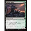 画像1: 薄暮見張りの狩人/Duskwatch Hunter (1)