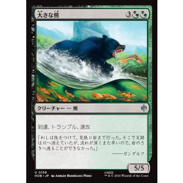 画像1: 大きな熊/Large Bear (1)