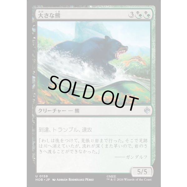 画像1: 大きな熊/Large Bear (1)
